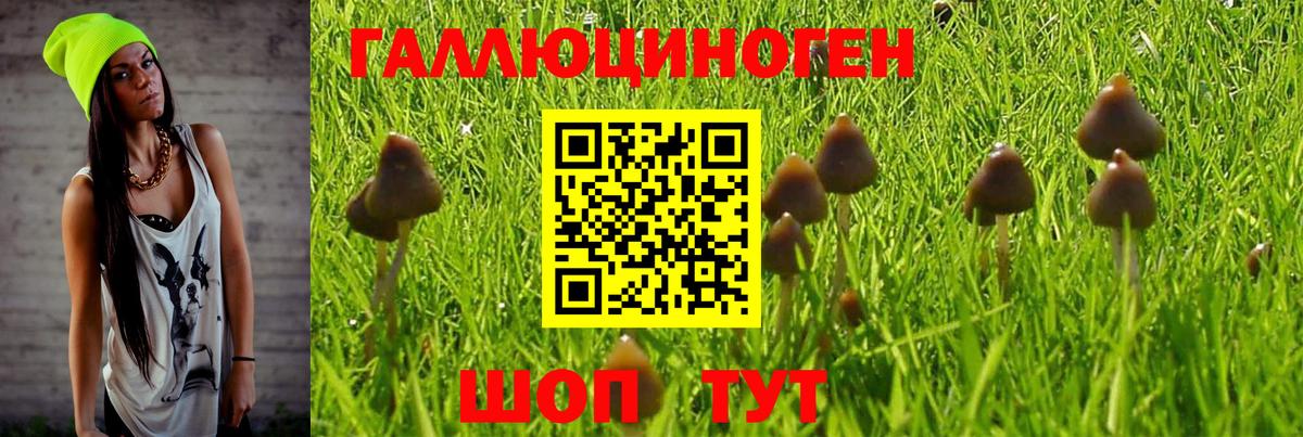 продажа наркотиков  Вход с VPN  Воскресенск  Псилоцибиновые грибы Magic Shrooms 